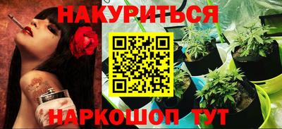 прущие грибы Дмитров