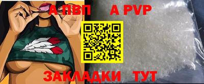 прущие грибы Дмитров
