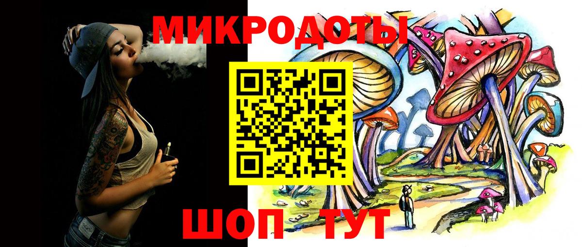 Псилоцибиновые грибы Cubensis Богданович